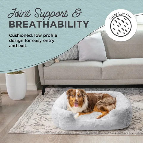 Best Friends by Sheri Lounge Lux – Gray, 91 x 69 cm 2