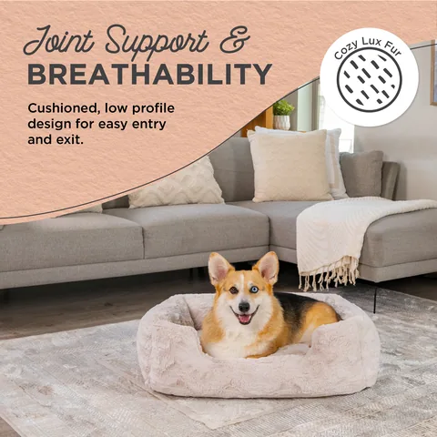 Best Friends by Sheri Lounge Lux – Oyster, 76 x 51 cm 2