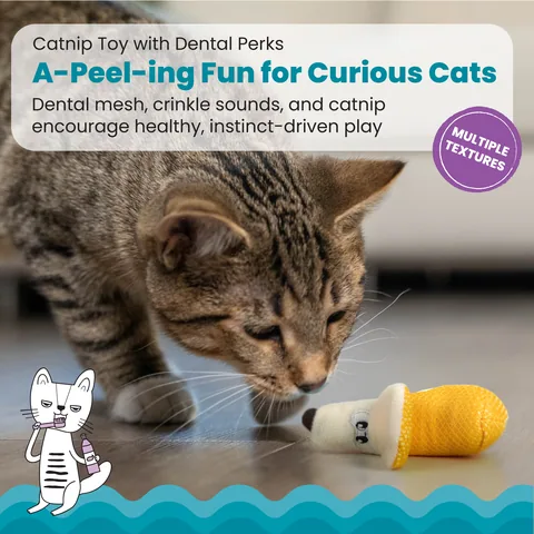 Catstages Dental Banana 貓咪潔牙香蕉玩具（黃） 2