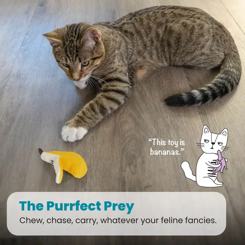 Catstages Dental Banana 貓咪潔牙香蕉玩具（黃） 5