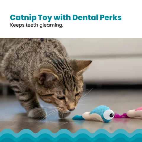 Catstages Dental Shrimpies 貓咪潔牙蝦玩具 2入（多色） 2