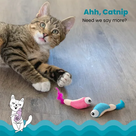 Catstages Dental Shrimpies 貓咪潔牙蝦玩具 2入（多色） 3