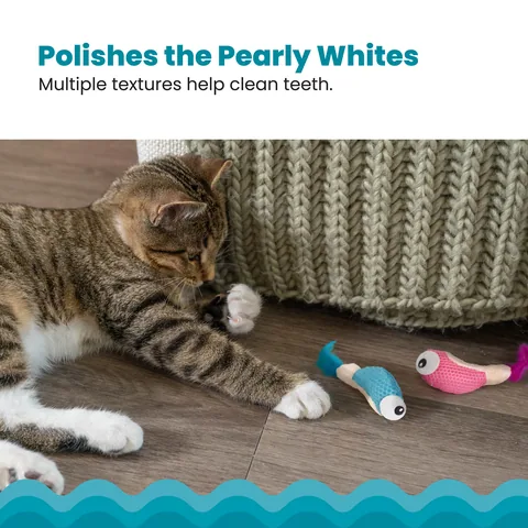 Catstages Dental Shrimpies 貓咪潔牙蝦玩具 2入（多色） 4