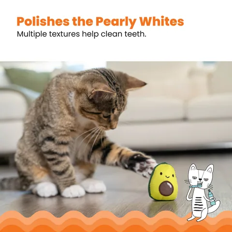 Catstages Lil' Avocato 貓咪酪梨玩具（綠） 4