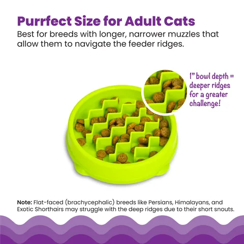 Catstages Kitty Slow Feeder 貓咪慢食碗（綠／S） 5