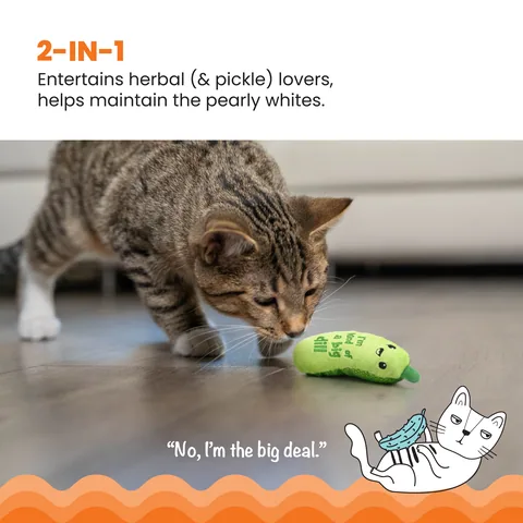 Catstages Kicker 香脆醃黃瓜造型貓草玩具（綠） 2