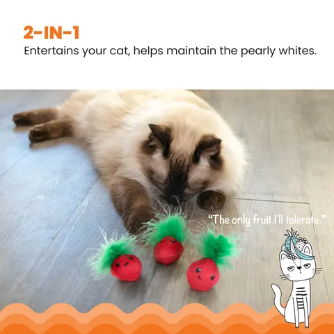 Catstages Straw-Babies 草莓造型貓薄荷玩具 3 入組（粉） 2