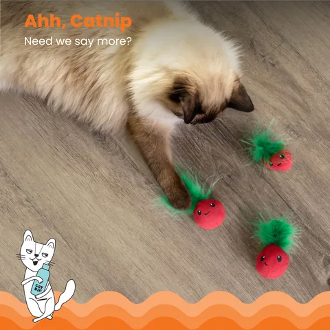 Catstages Straw-Babies 草莓造型貓薄荷玩具 3 入組（粉） 3
