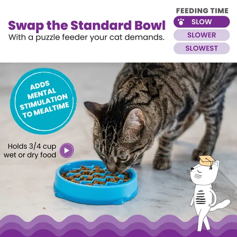 Catstages Kitty Slow Feeder 貓咪慢食碗（藍／S） 2