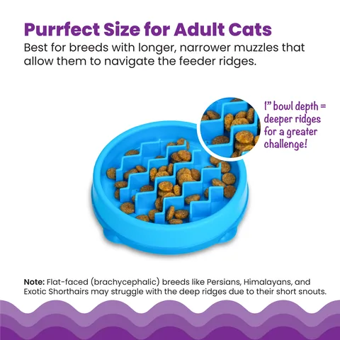 Catstages Kitty Slow Feeder 貓咪慢食碗（藍／S） 5