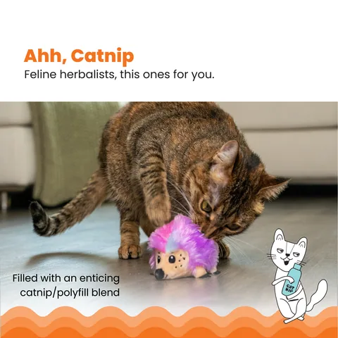 Catstages Catnip Plushies Hedgehog 貓薄荷刺蝟絨毛玩具（多色） 2