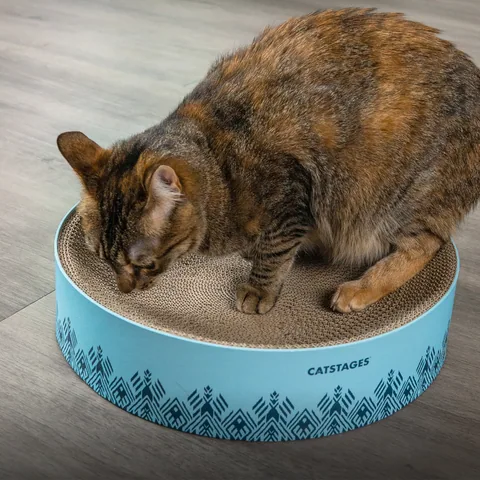 Catstages Scratch & Cuddle 貓抓板躺窩（深藍） 5