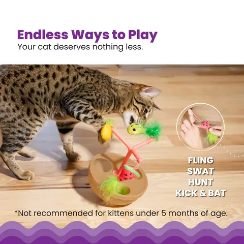 Catstages Hunt N' Wobble Fruit Bowl 狩獵搖擺水果碗玩具（多色） 2