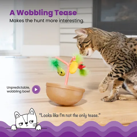 Catstages Hunt N' Wobble Fruit Bowl 狩獵搖擺水果碗玩具（多色） 3
