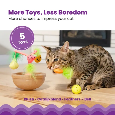 Catstages Hunt N' Wobble Fruit Bowl 狩獵搖擺水果碗玩具（多色） 4