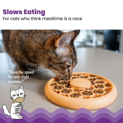 Catstages Cat Slow Feeder 貓咪慢食碗（橘） 2
