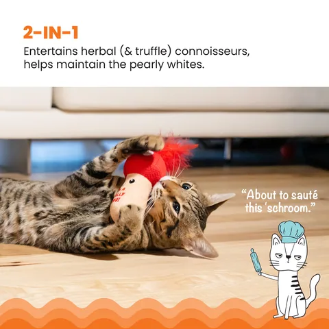 Catstages A Really Fungi Mushroom Kicker 蘑菇造型踢咬玩具（紅） 2