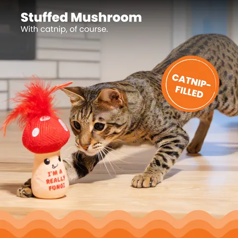 Catstages A Really Fungi Mushroom Kicker 蘑菇造型踢咬玩具（紅） 3