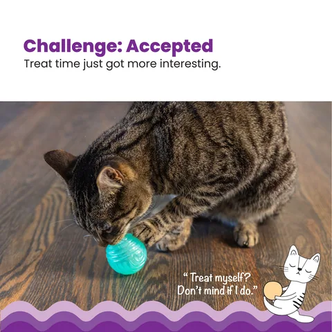 Catstages Ball Treat Stuffer 漏食球玩具（綠） 2