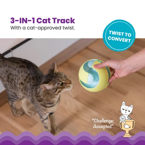 Catstages Twist-A-Ball Track 扭轉軌道球玩具（綠） 2
