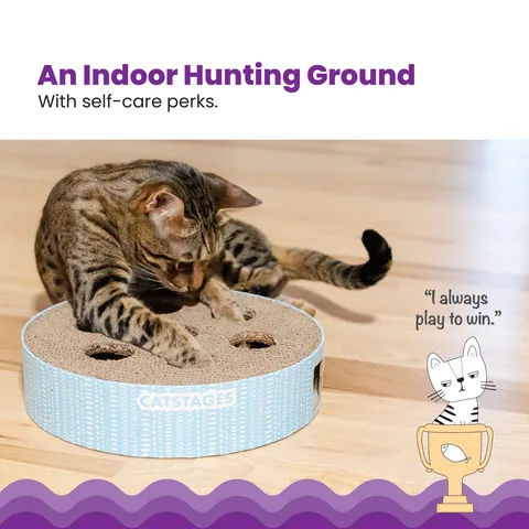 Catstages Scratch N' Hunt Puzzle 抓磨狩獵解謎玩具（藍） 2