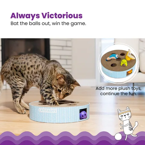 Catstages Scratch N' Hunt Puzzle 抓磨狩獵解謎玩具（藍） 4