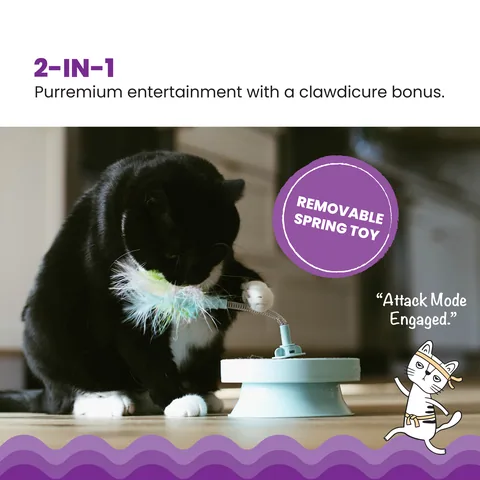 Catstages 2-in-1 Scratch & Bat Toy 抓磨拍打二合一玩具（棕） 2