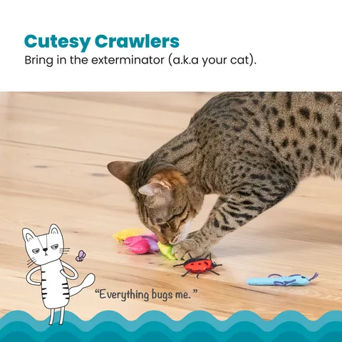 Catstages Cute As A Bug 昆蟲造型貓薄荷玩具 6入組（多色） 2