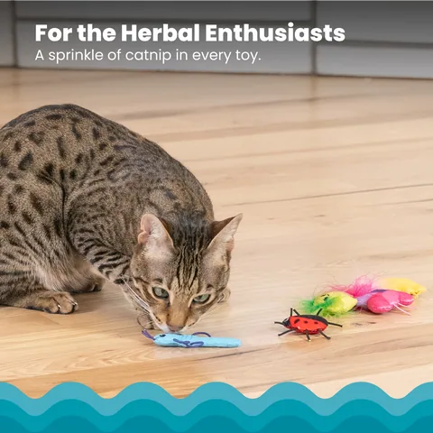 Catstages Cute As A Bug 昆蟲造型貓薄荷玩具 6入組（多色） 3