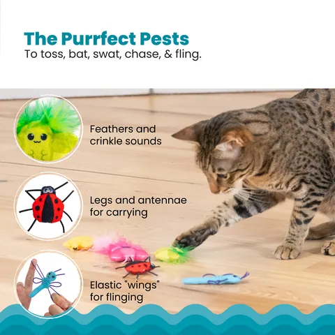Catstages Cute As A Bug 昆蟲造型貓薄荷玩具 6入組（多色） 4
