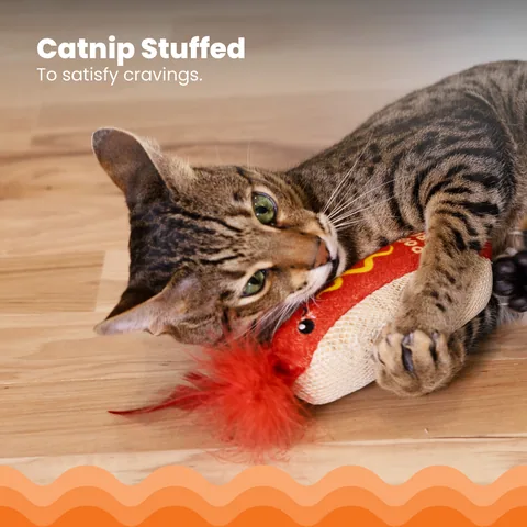 Catstages Hotdog Kicker 熱狗造型踢咬玩具（棕） 3