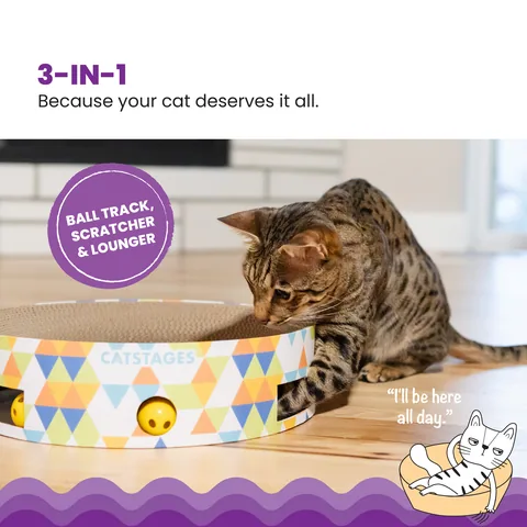 Catstages Ball N' Track Scratcher – Multicolor 2