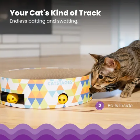 Catstages Ball N' Track Scratcher – Multicolor 3