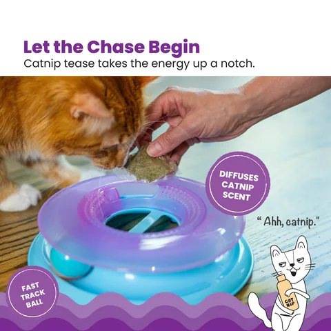 Catstages Race N' Chase Track 貓咪追逐軌道玩具（紫） 2