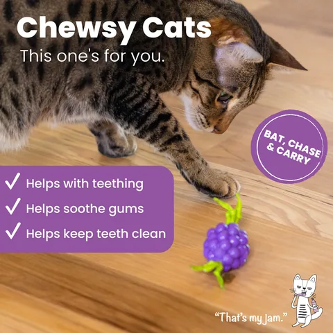 Catstages Bouncing Grape 葡萄造型潔牙玩具（紫） 2