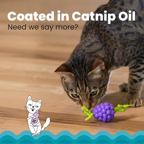 Catstages Bouncing Grape 葡萄造型潔牙玩具（紫） 4