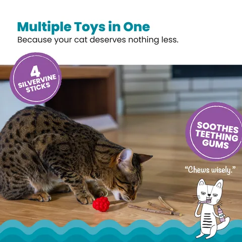 Catstages Raspberry Silvervine Teether – Red 2