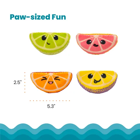 Catstages Dental Fruit Wedges 貓咪潔牙水果楔玩具（多色／4入） 5