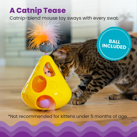 Catstages Mousin' Around Wobble Wedge 貓咪搖擺追鼠玩具（黃） 3