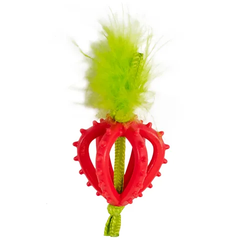 Catstages Strawberry Teether – Pink
