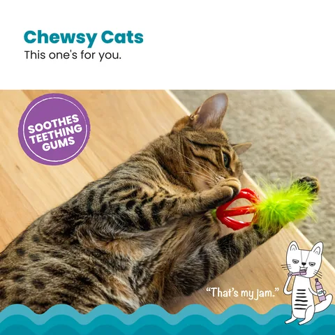 Catstages Dental Strawberry Teether 貓咪潔牙草莓固齒玩具（粉） 2