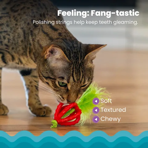 Catstages Dental Strawberry Teether 貓咪潔牙草莓固齒玩具（粉） 3