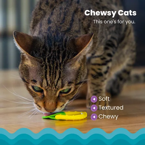 Catstages Dental Lemon Teether 貓咪潔牙檸檬固齒玩具（黃） 3