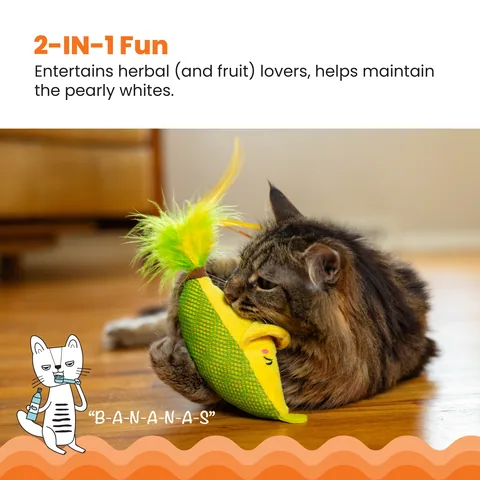 Catstages Peelin' Good Banana Kicker 貓咪香蕉踢踢玩具（黃） 2