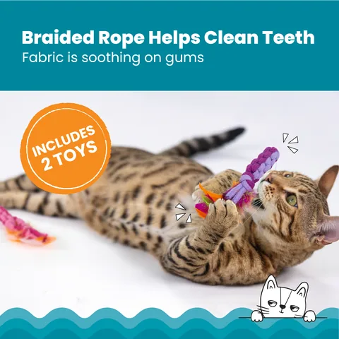 Catstages Dental Ropes 貓咪潔牙繩玩具 2 入組（多色） 2