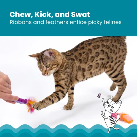 Catstages Dental Ropes 貓咪潔牙繩玩具 2 入組（多色） 3