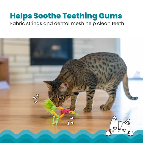Catstages Dental Pineapple Teether 貓咪潔牙鳳梨固齒玩具（黃） 2