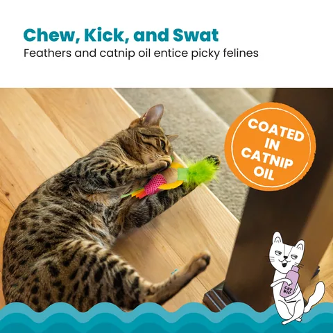 Catstages Dental Pineapple Teether 貓咪潔牙鳳梨固齒玩具（黃） 4