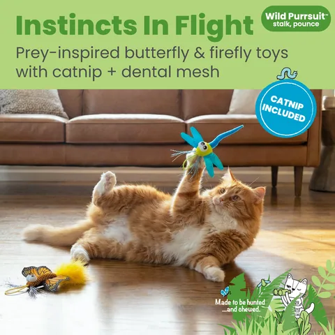 Catstages Dental Flutter Bugs 護齒飛蟲造型貓玩具 2入組（多色） 2
