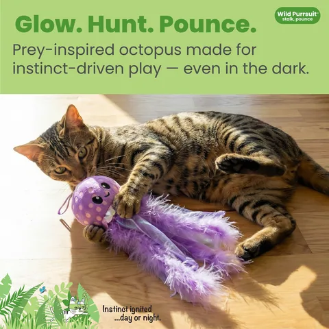 Catstages Glow N' Pounce 章魚造型踢咬貓玩具（紫） 2